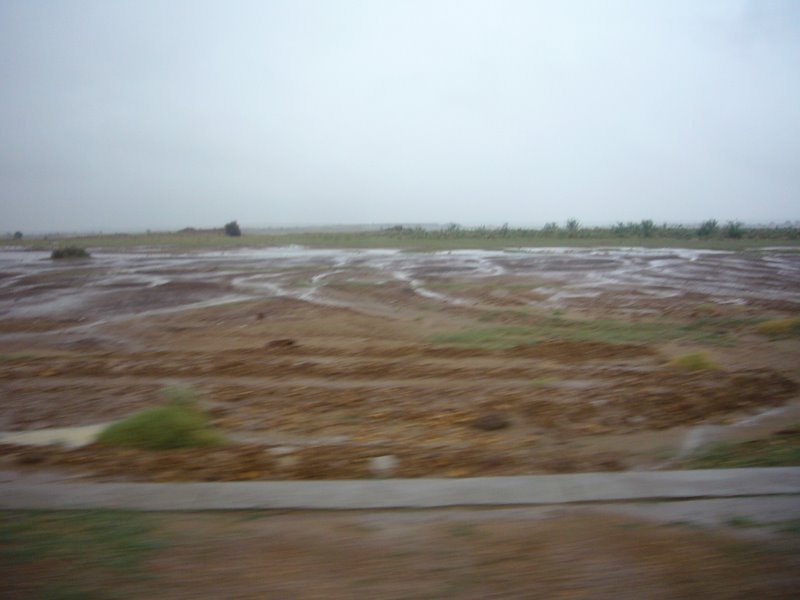 The desert is water-logged.